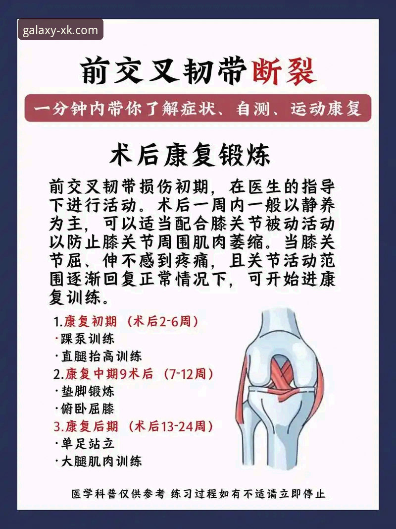 星空娱乐网站怎么样 贝里瓦尔手术康复全记录:三条韧带如何重塑世界杯梦想